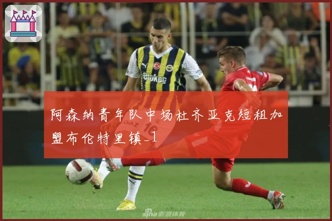 阿森纳青年队中场杜齐亚克短租加盟布伦特里镇_1