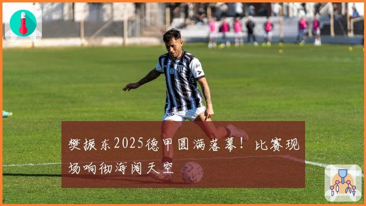 樊振东2025德甲圆满落幕!比赛现场响彻海阔天空